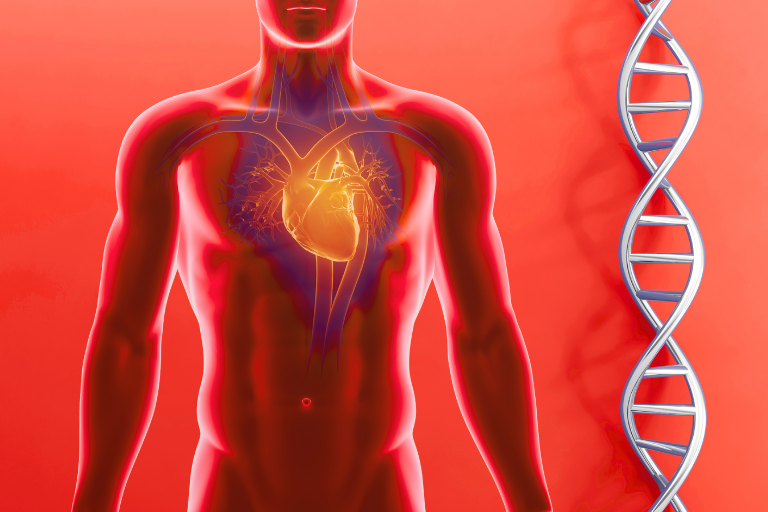 Cardiogenetics