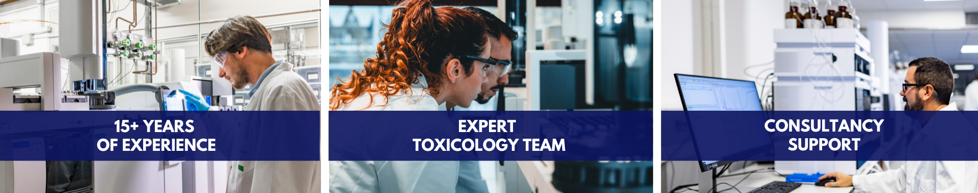 Toxicological evaluation (1)