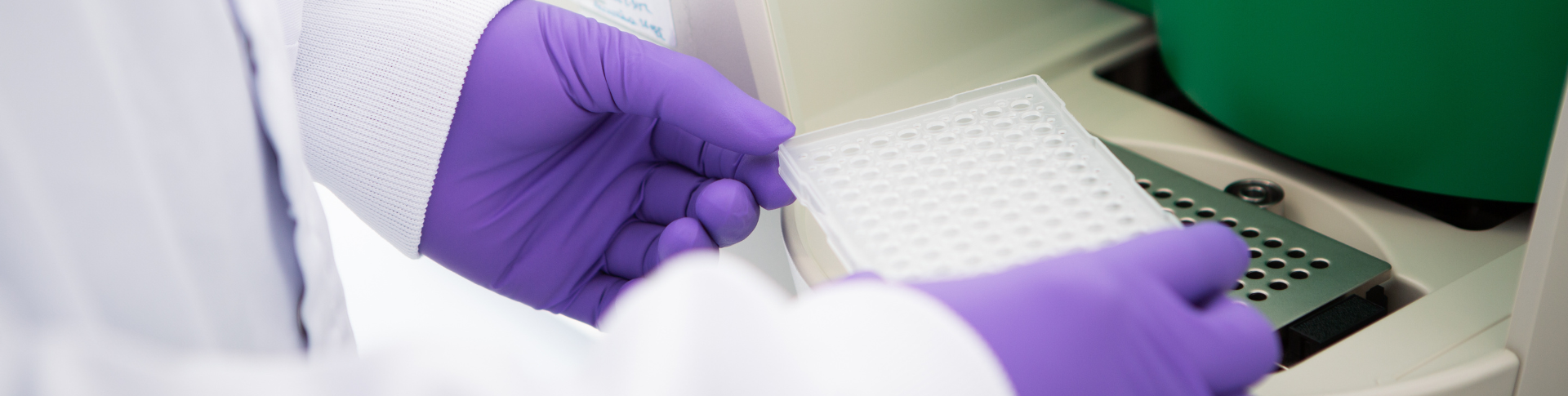 Molecular & Cell Biology